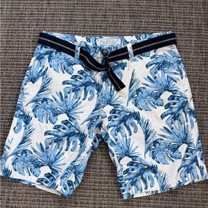 Blue Leaf Print Men's Shorts